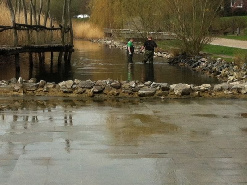 Reinigungsarbeiten im Teich im Wasserpark