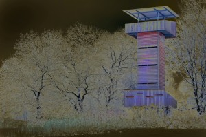 Illuminierter Beobachtungsturm an der Ökologiestation. Foto: Ralf Sänger