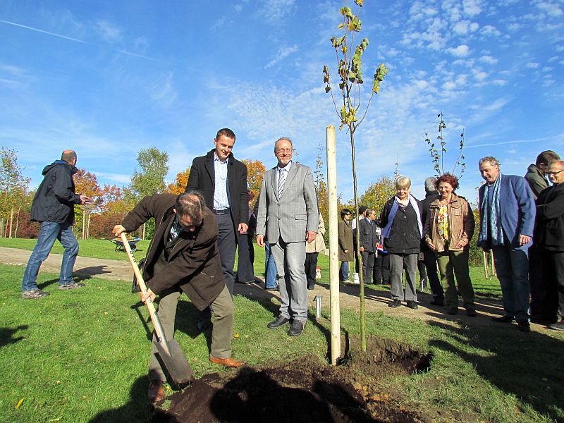 Vertreter der vier Partnerstädte pflanzten insgesamt vier Bäume im "Europawald". 