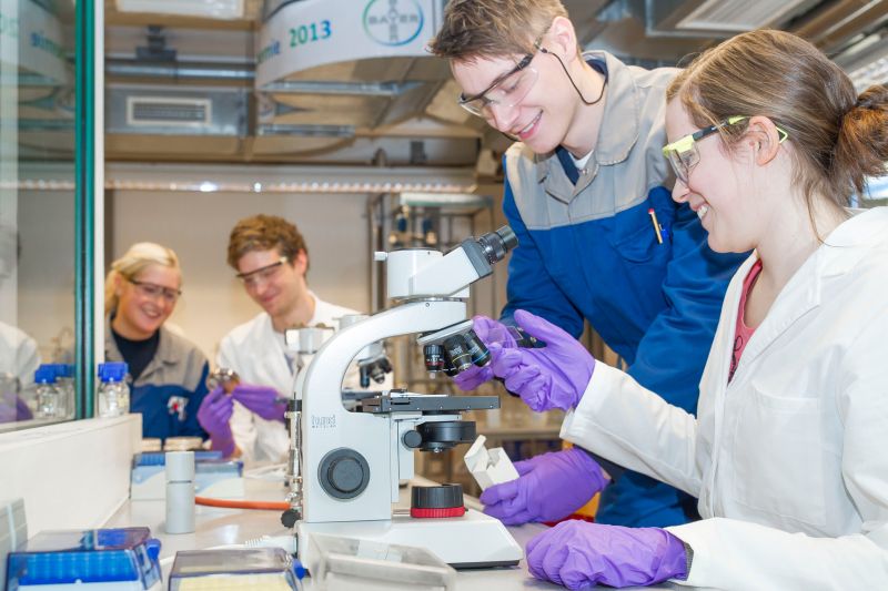 Die Bayer-Auszubildenden Sarah Michel (l.) und Tim Vorhoff unterstützen Michael Lahme (2. v. l.) und Vera Schulte-Bocholt bei der Versuchsauswertung am Mikroskop. (Foto: Bayer)