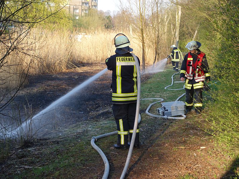 Die Feuerwehrleute der Löschgruppe Weddinghofen hatten den Schilfbrand im Wasserpark schnell im Griff.