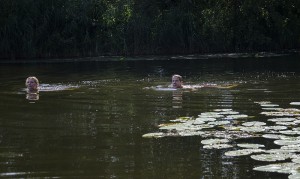Idylle pur: Schwimmen im von der Natur regulierten Wasser.