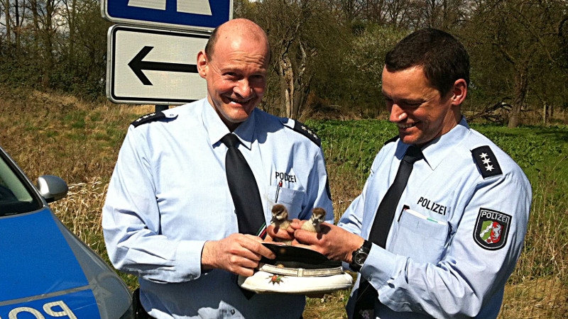 Die Polizeihauptkommissare Schrot (l.) und Nottebohm retteten die Entenküken.