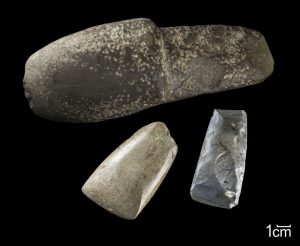 Für Laien mögen sie auf den ersten Blick wie simple Steine aussehen. Die Archäologen erkennen sofort, dass es sich hier um Beilklingen handelt, die in der Jungsteinzeit von den ersten Bauern als Werkzeuge benutzt wurden. Foto: LWL/H. Menne