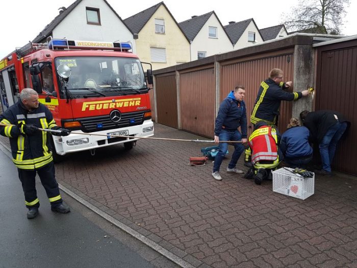 Katze zwischen zwei Garagen eingeklemmt: Feuerwehr unnd Tierärztin